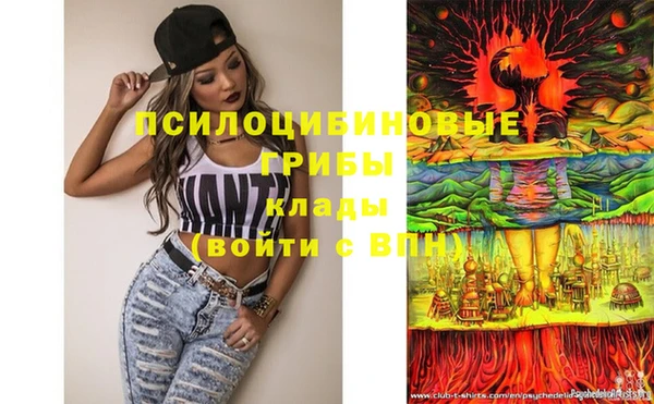 тгк Вязники