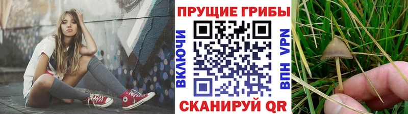 Псилоцибиновые грибы ЛСД  Купить где  Шарья 